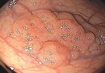 Sample Image 1