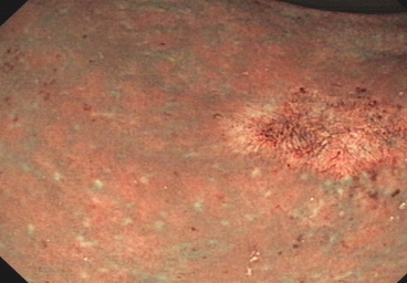 Sample Image 2