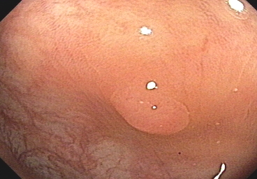 Sample Image 3