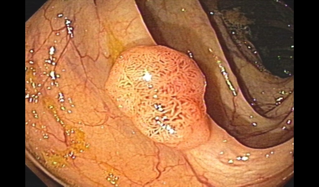 Sample Image 4